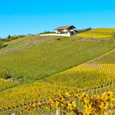 Ca 'nsel Bric Bed & Breakfast Canelli